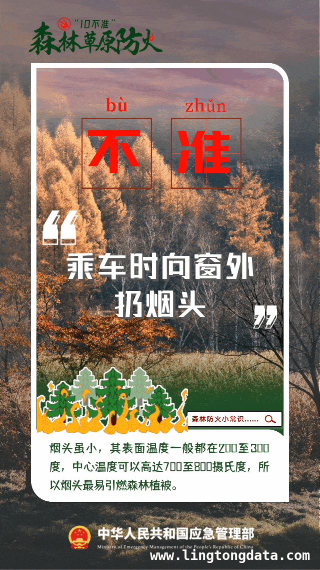 韩国山林火灾酿悲剧，多起案例凸显野外防火重要性，惊！韩国史上最严重山林火灾，多起案例警示防火