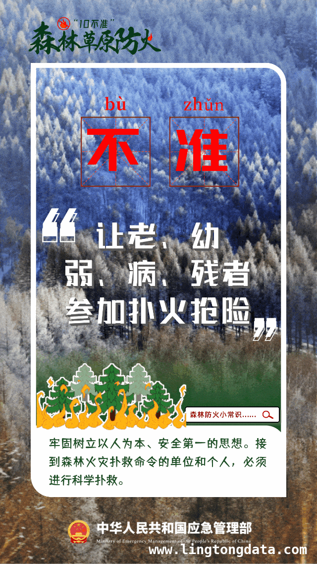 韩国山林火灾酿悲剧，多起案例凸显野外防火重要性，惊！韩国史上最严重山林火灾，多起案例警示防火