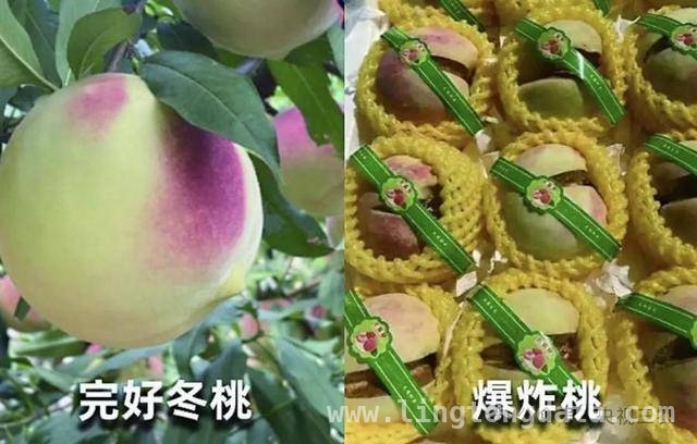 小心！果蔬界的“大忽悠”水果大盘点