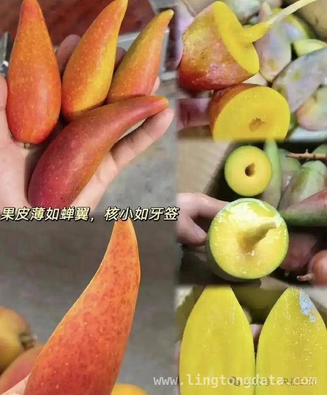 小心！果蔬界的“大忽悠”水果大盘点