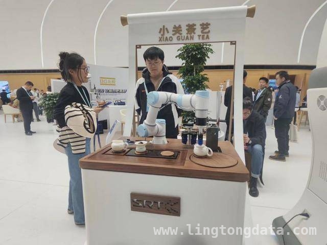 走进2025中关村论坛，感受机器人的智慧与活力，探秘2025中关村论坛，机器人“智愿者”大放异彩
