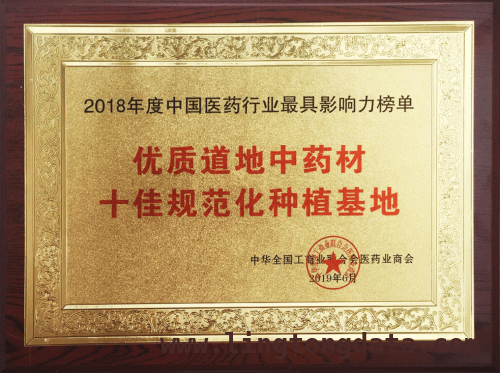仲景宛西制药：“药材好药才好”理念铸中药行业标杆 仲景宛西制药：2025 新版 GAP 下的中医药创新典范