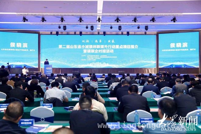 山东小城镇创新行动：项目对接，助力镇域经济腾飞
