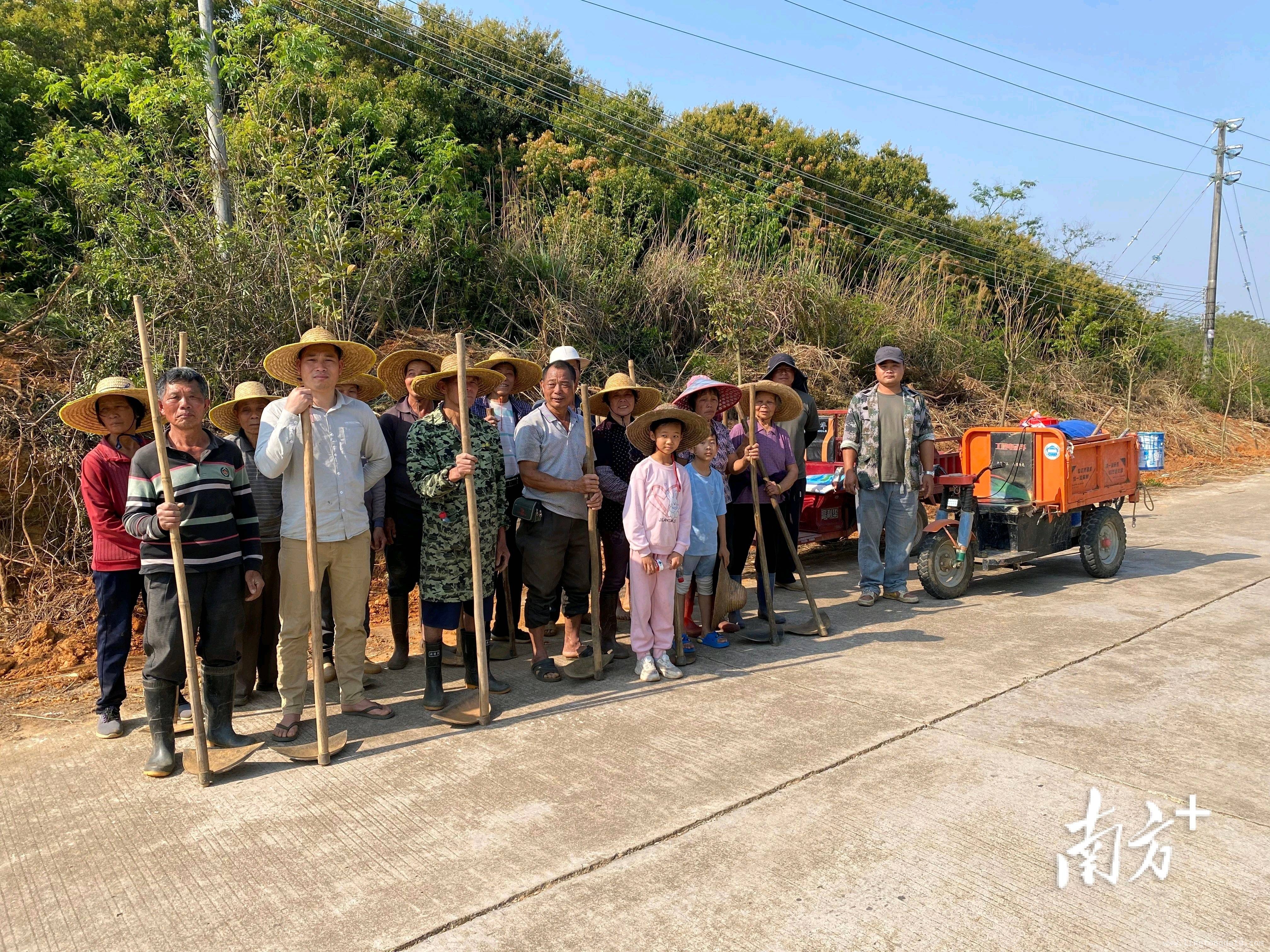 三宝垌村植树：以绿为笔书写乡村振兴和美篇章