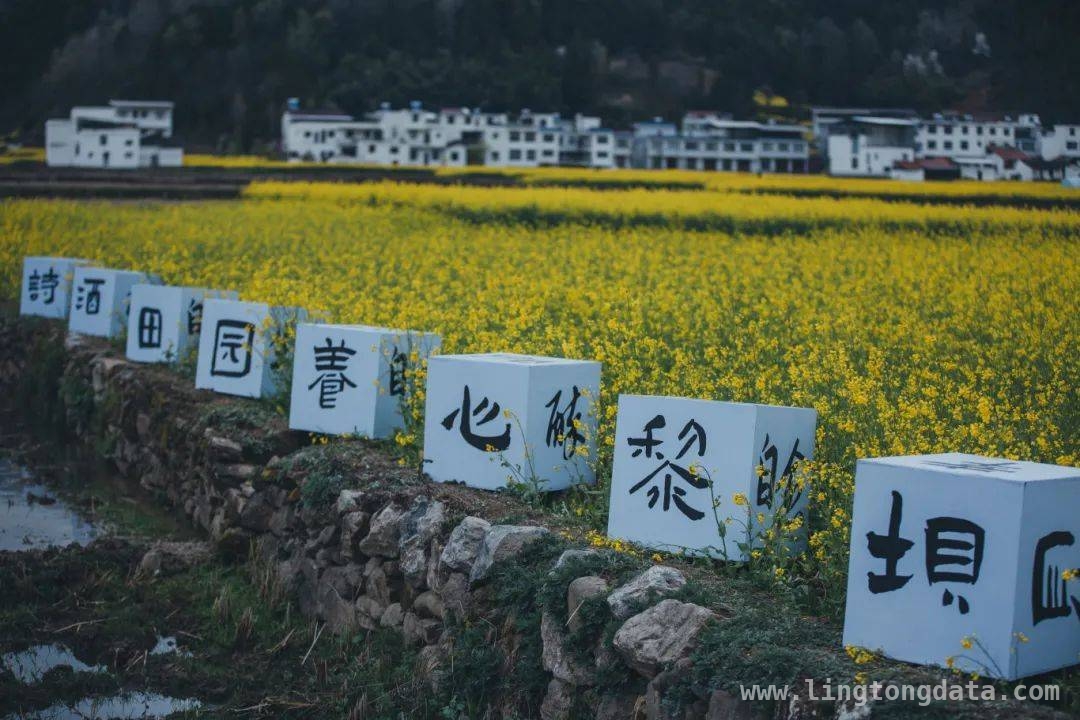走进镇巴，探寻春日里的绝美仙境与民俗风情 镇巴之春：漫步山水间，开启一段诗意旅程