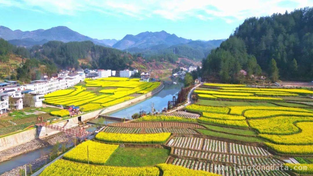 走进镇巴，探寻春日里的绝美仙境与民俗风情 镇巴之春：漫步山水间，开启一段诗意旅程