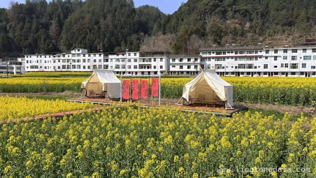 走进镇巴，探寻春日里的绝美仙境与民俗风情 镇巴之春：漫步山水间，开启一段诗意旅程