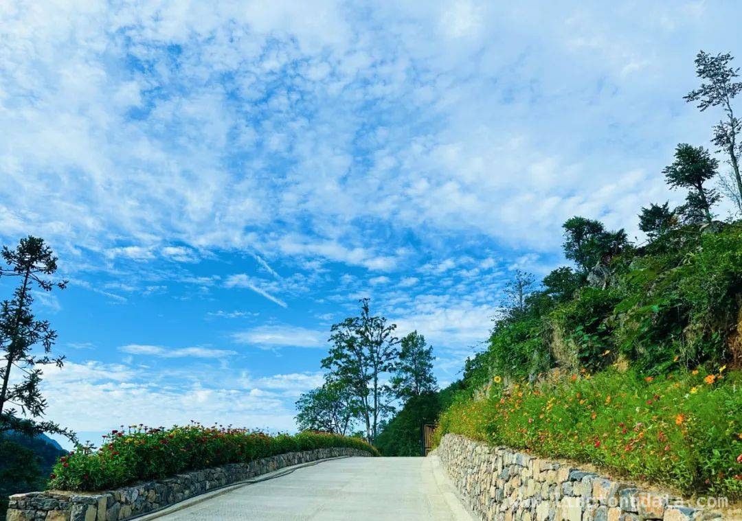 走进镇巴，探寻春日里的绝美仙境与民俗风情 镇巴之春：漫步山水间，开启一段诗意旅程