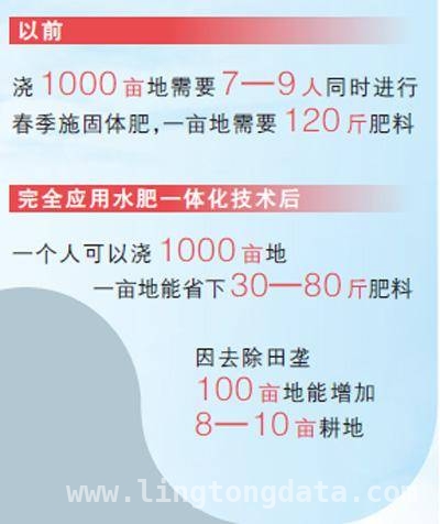 孙洪旗：借助科技与政策东风，种出丰收希望，孙洪旗的种粮新账本：成本、环保与增收三丰收