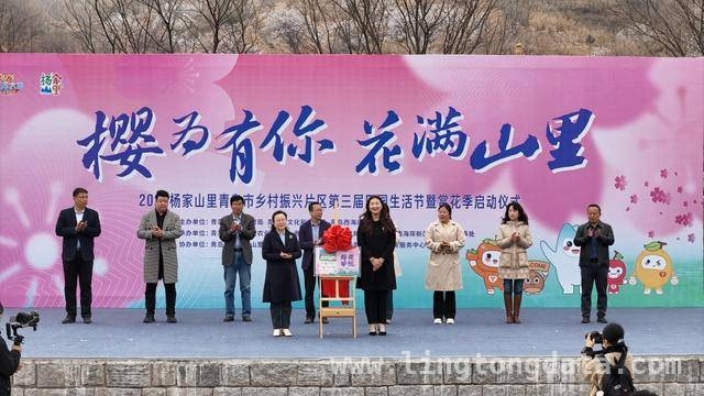 杨家山里田园生活节：农文旅融合的春日盛宴，铁山街道赏花节：以花为引，绘就乡村发展新画卷