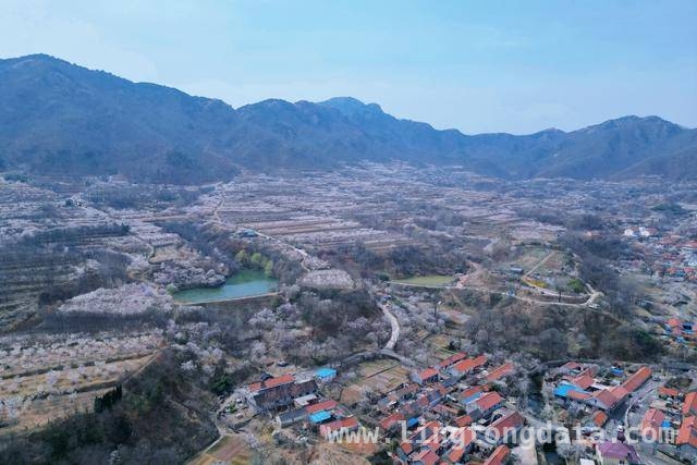 杨家山里田园生活节：农文旅融合的春日盛宴，铁山街道赏花节：以花为引，绘就乡村发展新画卷