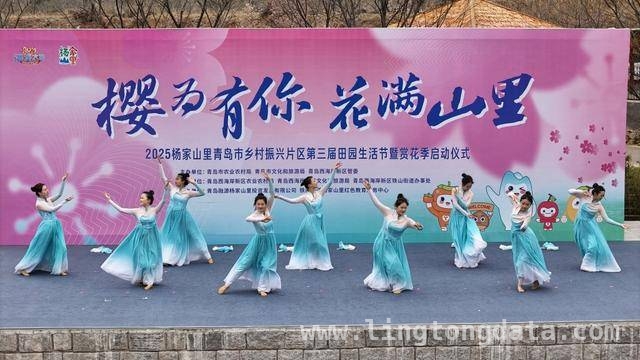 杨家山里田园生活节：农文旅融合的春日盛宴，铁山街道赏花节：以花为引，绘就乡村发展新画卷
