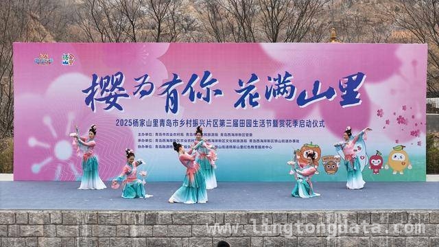 杨家山里田园生活节：农文旅融合的春日盛宴，铁山街道赏花节：以花为引，绘就乡村发展新画卷