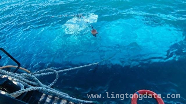 埃及红海旅游潜艇悲剧：6名俄游客丧生，背后隐情待揭，埃及红海旅游潜艇事故：6人丧生，39人惊险获救背后
