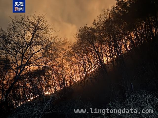 韩国多地森林大火酿惨剧，28人不幸丧生！