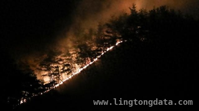 韩国多地森林大火酿惨剧，28人不幸丧生！