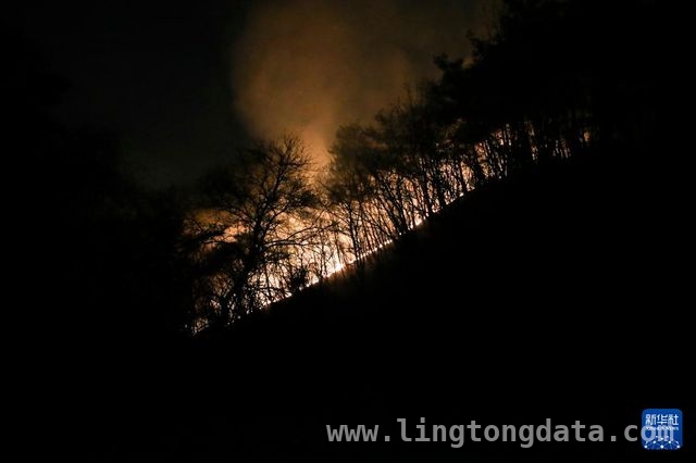 直击韩国森林大火：28人丧生，古寺在火中消逝，韩国多地森林大火致28人死亡，受灾面积超历史最高水平