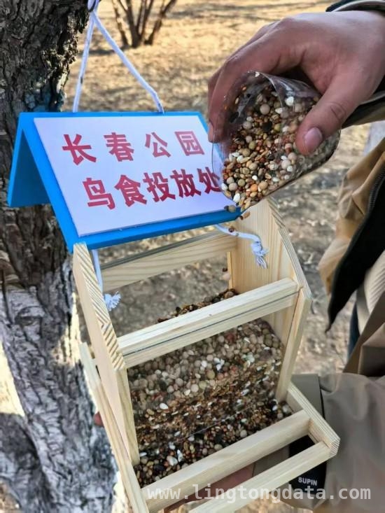 长春公园开启“护鸟粮仓”行动，助力鸟儿度过食物难关，一粒鸟粮一份情，长春公园用爱织就护鸟网