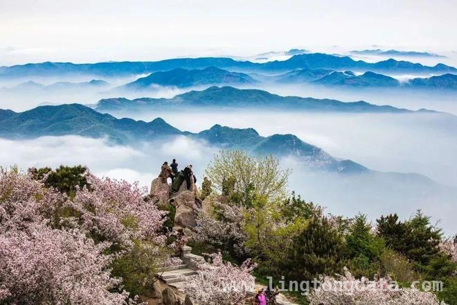 2025全国春旅活动，“好客山东”凭这些亮点出圈！