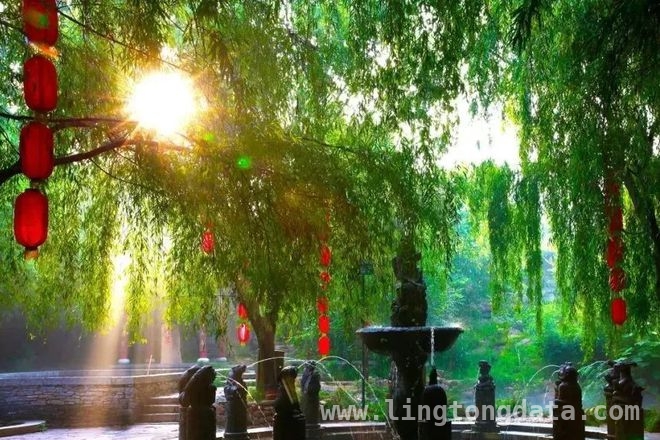 2025全国春旅活动，“好客山东”凭这些亮点出圈！