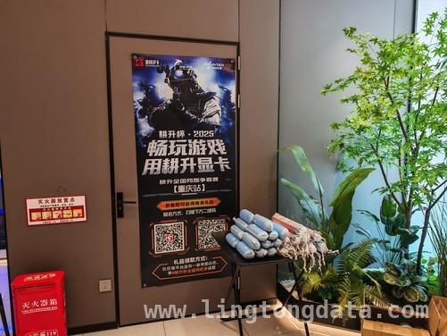 耕升携手举办反恐精英2巡回赛，谁能笑到最后？，耕升反恐精英2巡回争霸赛，玩家竞技风采全揭秘！