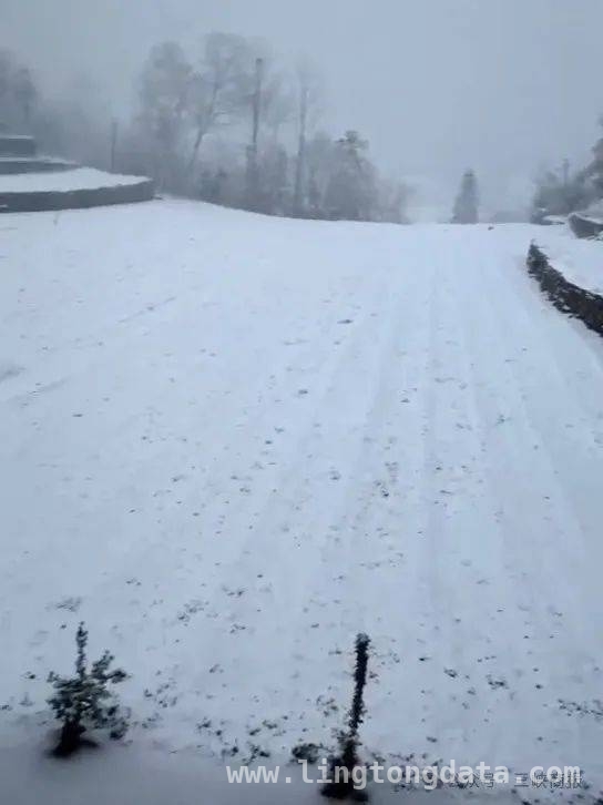 3月下旬湖北下雪，宜昌秭归成“冰雪世界”，3月27日夜间，湖北宜昌高山地区降下大雪