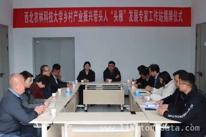宁夏吴忠利通区首家乡村产业振兴“头雁”专家工作站揭牌，助力产业腾飞