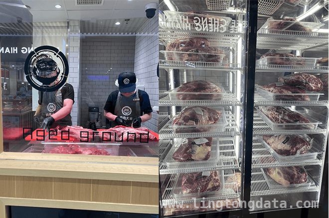 揭秘肉肉大米排队之谜：体验与市场背后的逻辑