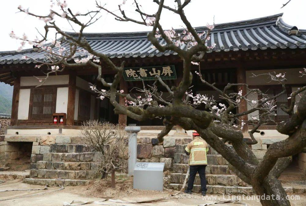 3. 走进韩国庆尚北道山火：消防员守护，灾难后盼新生，2. 韩国庆尚北道山火现场：烈焰无情，樱花寄希望
