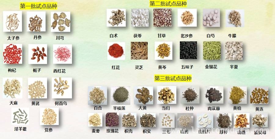 上海中药代煎：便捷与质量的完美结合