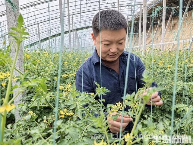 秦凯：7年打造农村土地托管青岛模式，目标全国推广