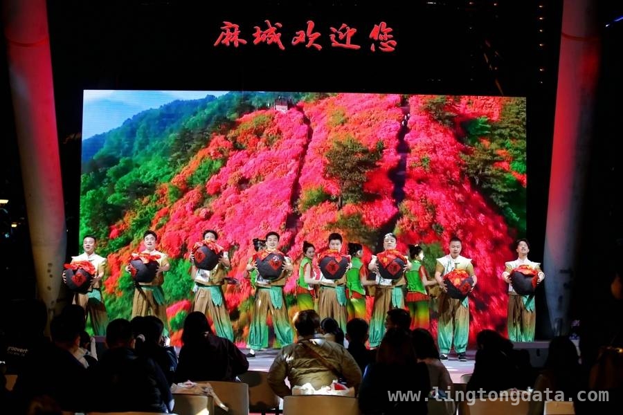 “人间四月天”，麻城文旅上海推介会魅力绽放 黄浦江畔，麻城文旅吹响长三角旅游新号角
