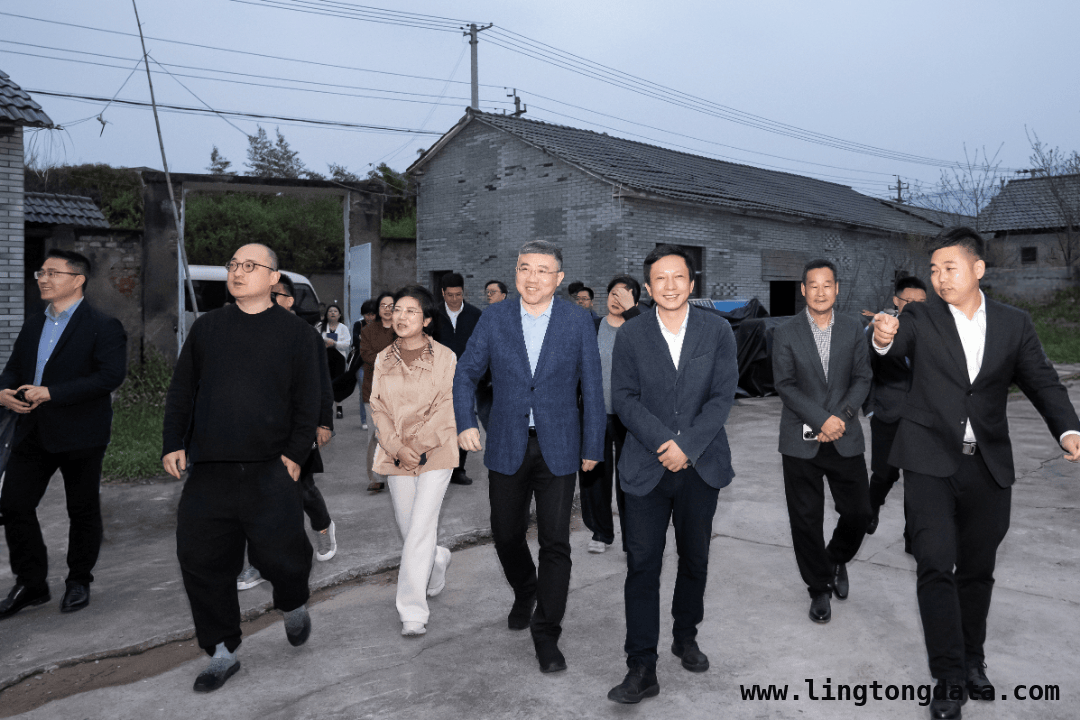 中国美院院长来桐考察，共探乡村振兴新路径 桐庐与中国美院合作，艺术成乡村振兴新引擎