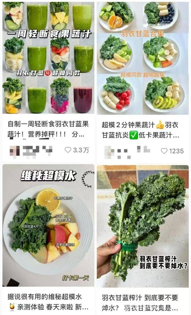 羽衣甘蓝饮品爆火背后：真相大揭秘