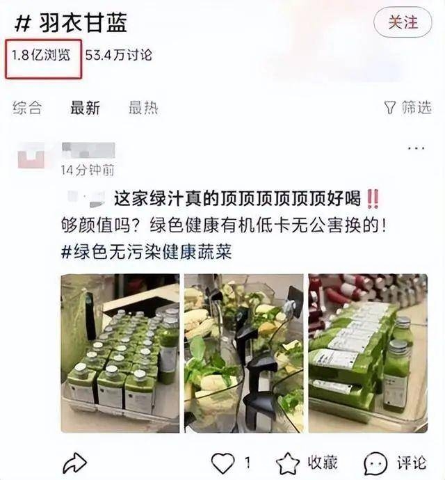 羽衣甘蓝饮品爆火背后：真相大揭秘