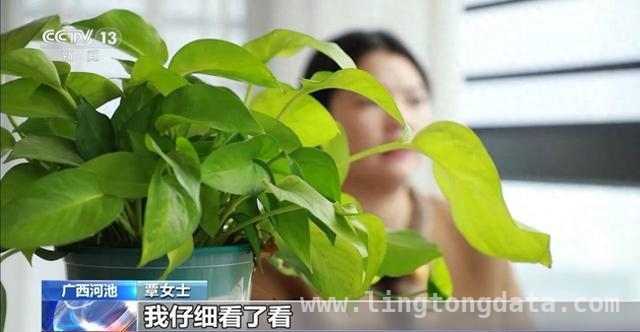惊！60元书10元包邮，竟是盗版陷阱！，低价图书背后的盗版黑幕！河池覃女士网购遭遇大揭秘