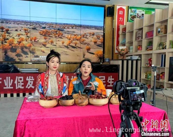 新疆羊肉产业崛起：从传统到现代的华丽转身