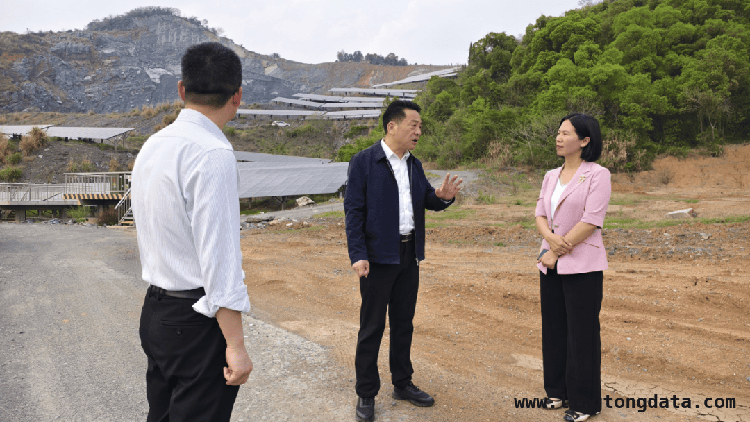 3月27日肖秋根副市长实地督导生态环保督察问题整改