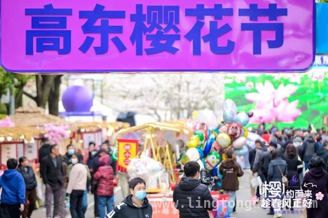 高东樱花季：一场融合运动与美食的花之盛宴