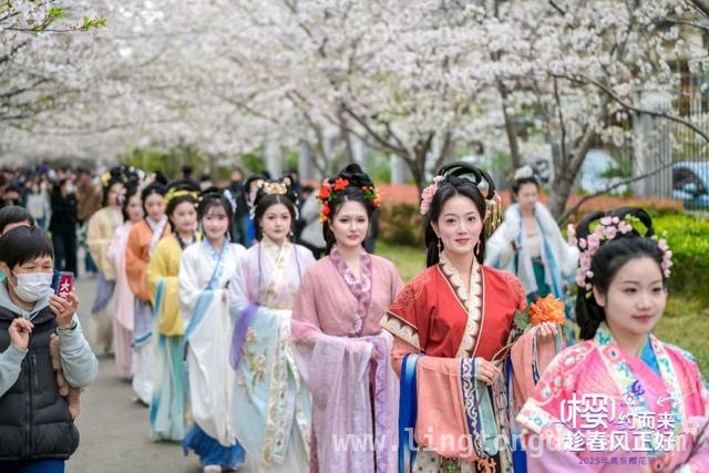 高东樱花季：一场融合运动与美食的花之盛宴