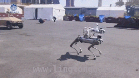 2025中国科幻大会盛大开幕，揭秘科幻产业新图景 聚焦2025中国科幻大会，各领域营收数据大曝光