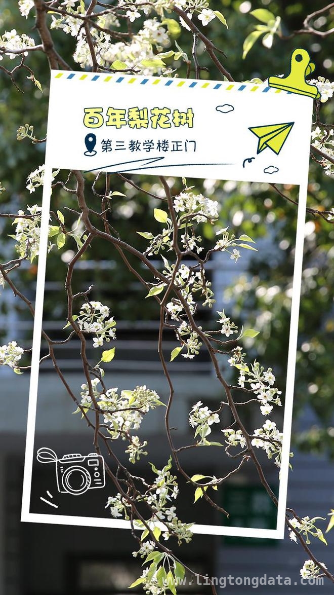 走进华中农业大学，邂逅春日繁花盛景，华中农大春日之约：繁花与学术的绚丽邂逅
