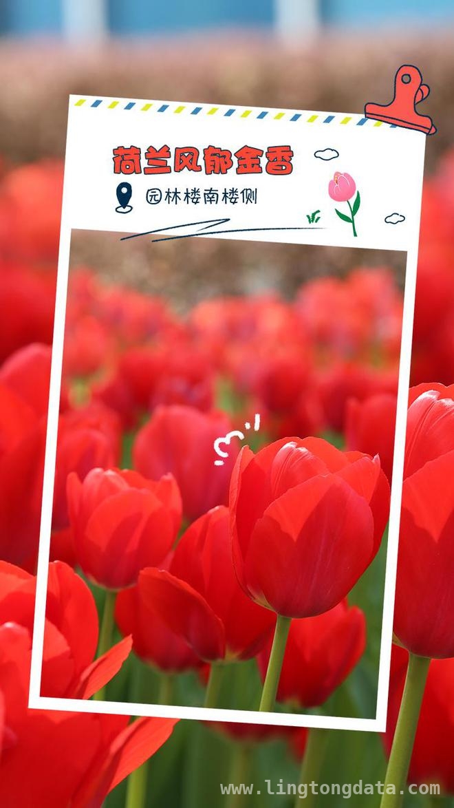 走进华中农业大学，邂逅春日繁花盛景，华中农大春日之约：繁花与学术的绚丽邂逅