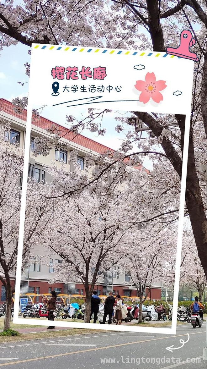 走进华中农业大学，邂逅春日繁花盛景，华中农大春日之约：繁花与学术的绚丽邂逅