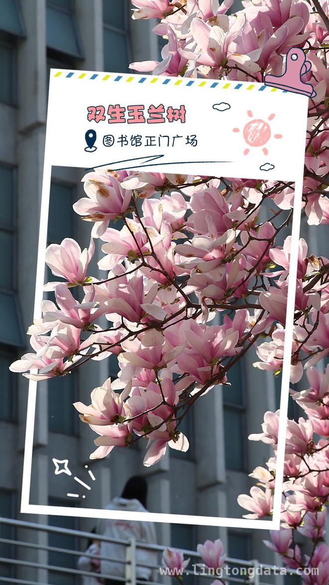 走进华中农业大学，邂逅春日繁花盛景，华中农大春日之约：繁花与学术的绚丽邂逅