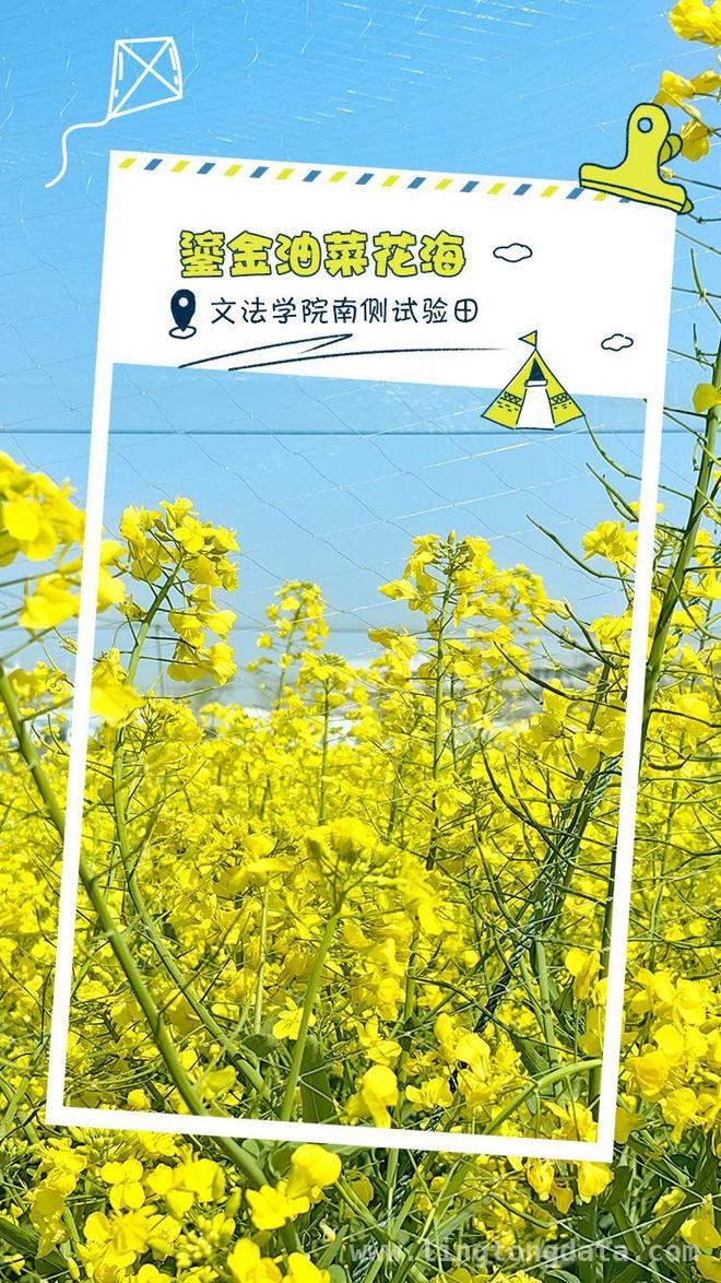 走进华中农业大学，邂逅春日繁花盛景，华中农大春日之约：繁花与学术的绚丽邂逅