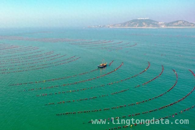 从近海到深远海，我国海上养殖绘就“蓝色经济”蓝图，海上春耕正当时，我国海洋养殖产业焕新活力