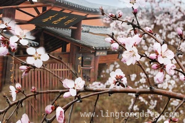 沪上推介会，麻城文旅魅力绽放