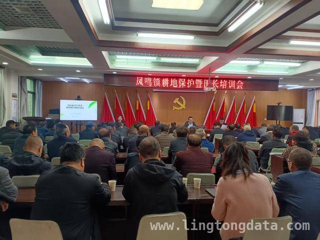 凤鸣镇耕地保护培训：夯实基础，助力乡村振兴，凤鸣镇积极推进耕地保护，田长培训筑牢安全防线