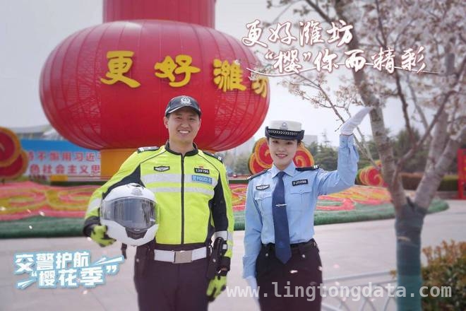 潍坊樱花季：人民广场赏樱攻略来袭！，去潍坊人民广场赏樱，这份停车与出行指南不可错过！